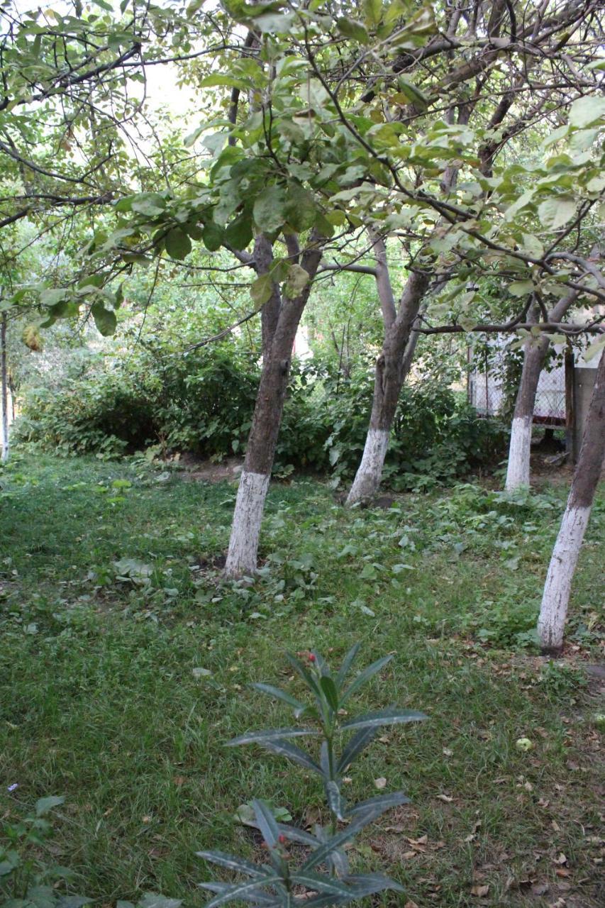 Khorog Riverside מראה חיצוני תמונה